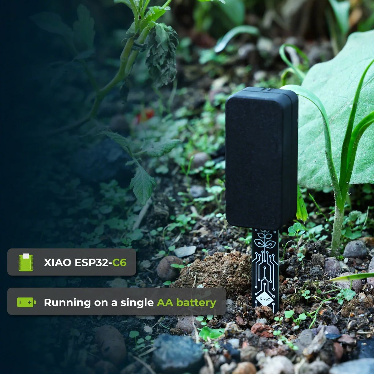 XIAO ESP32 C6 Soil Moisture Se – Home Automation Tutorial recenzja i cena