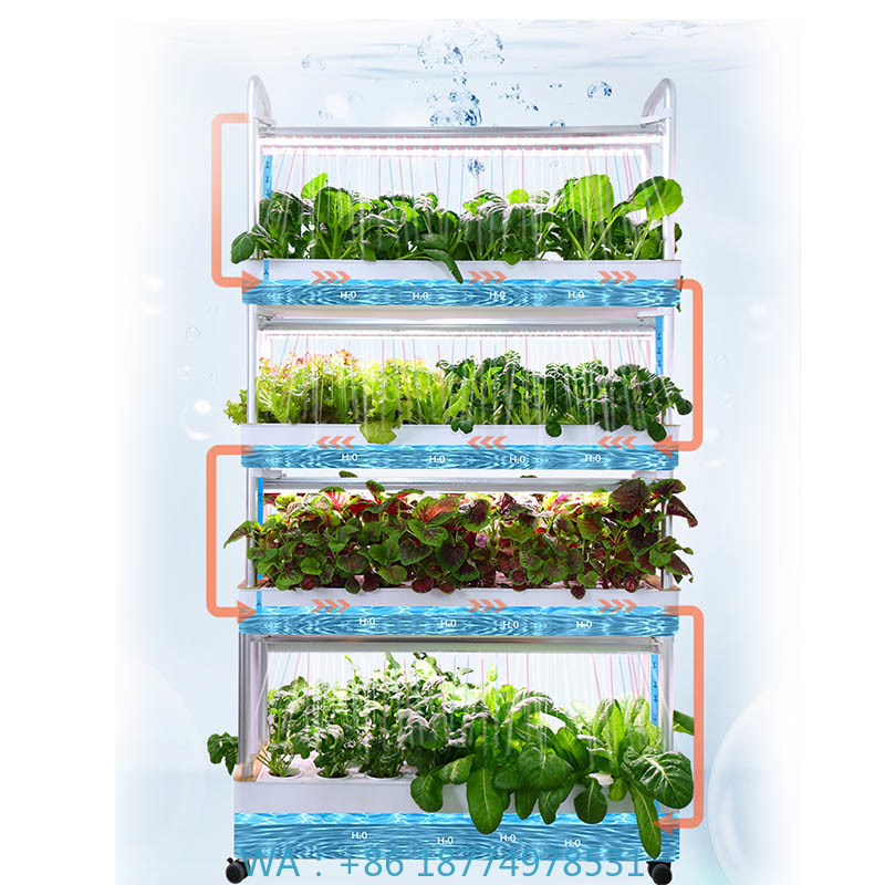ydroponic Planting System Smar – Home Automation System Diy recenzja i cena