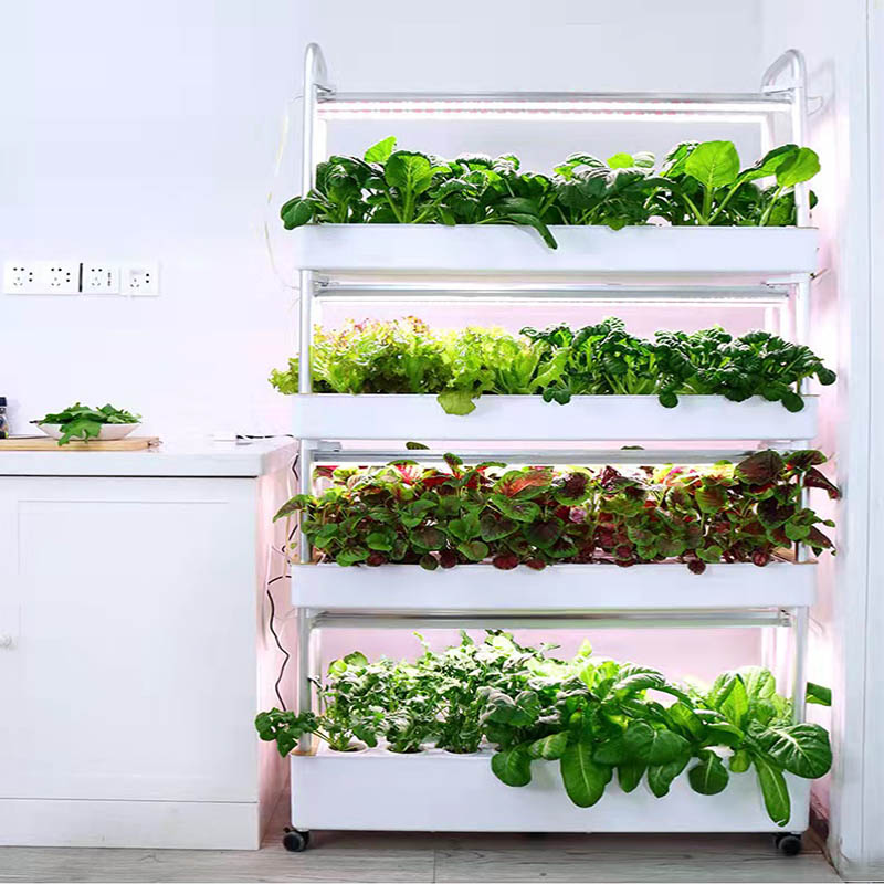 ydroponic Planting System Smar – Home Automation System Diy recenzja i cena