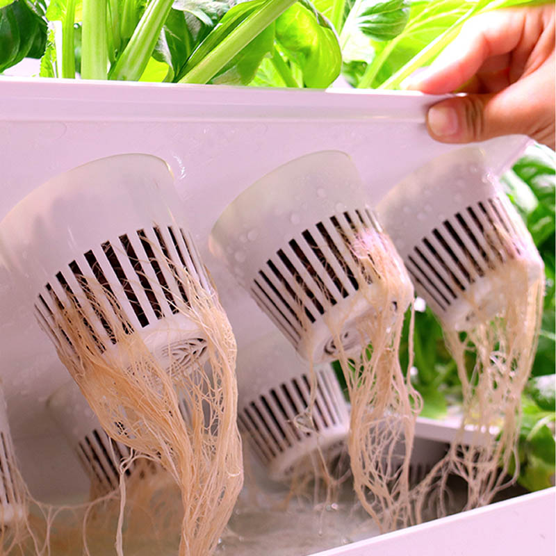 ydroponic Planting System Smar – Home Automation System Diy recenzja i cena